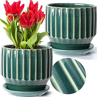 AISBUGUR Ceramic Plant Pots 6 inch Pots for Indoor Plants Set of 2 Flower Pots Unique Crackle Glaze Design Plant Pots with...