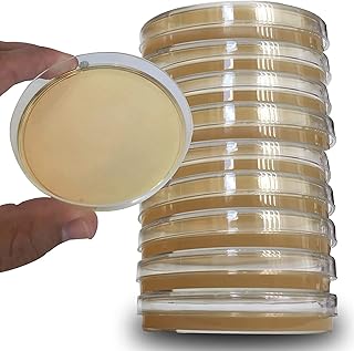 Evviva Sciences Potato Dextrose Agar Petri Dishes - Prepoured Potato Dextrose Agar (PDA) - for Mushrooms, Home Test Kit, or for Science Fair Projects, Petri Dishes with Agar