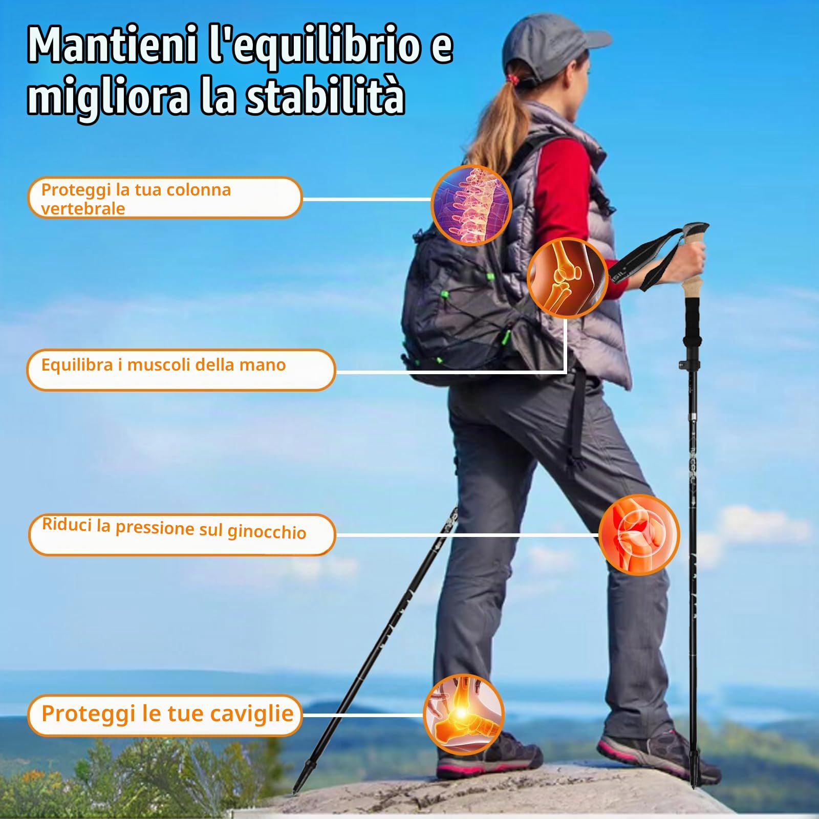 2Pcs Bastoni Trekking Alluminio con Manico Sughero Antiurto, Bastoncini Trekking Nordic 110-125cm Regolabili, Racchette Walking Pieghevoli Ultra Leggeri per Uomo Donna Escursionismo, Campeggio, Sci