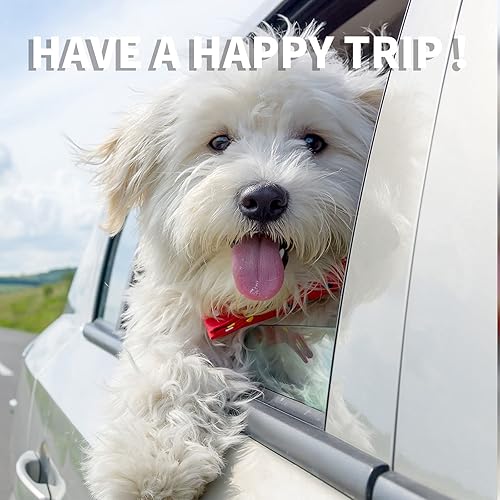 Miniatura 6 de BYGD Asiento elevador para mascotas, con 12 tubos de soporte de PVC mejorados y correa de seguridad con clip, cesta de automóvil transpirable y