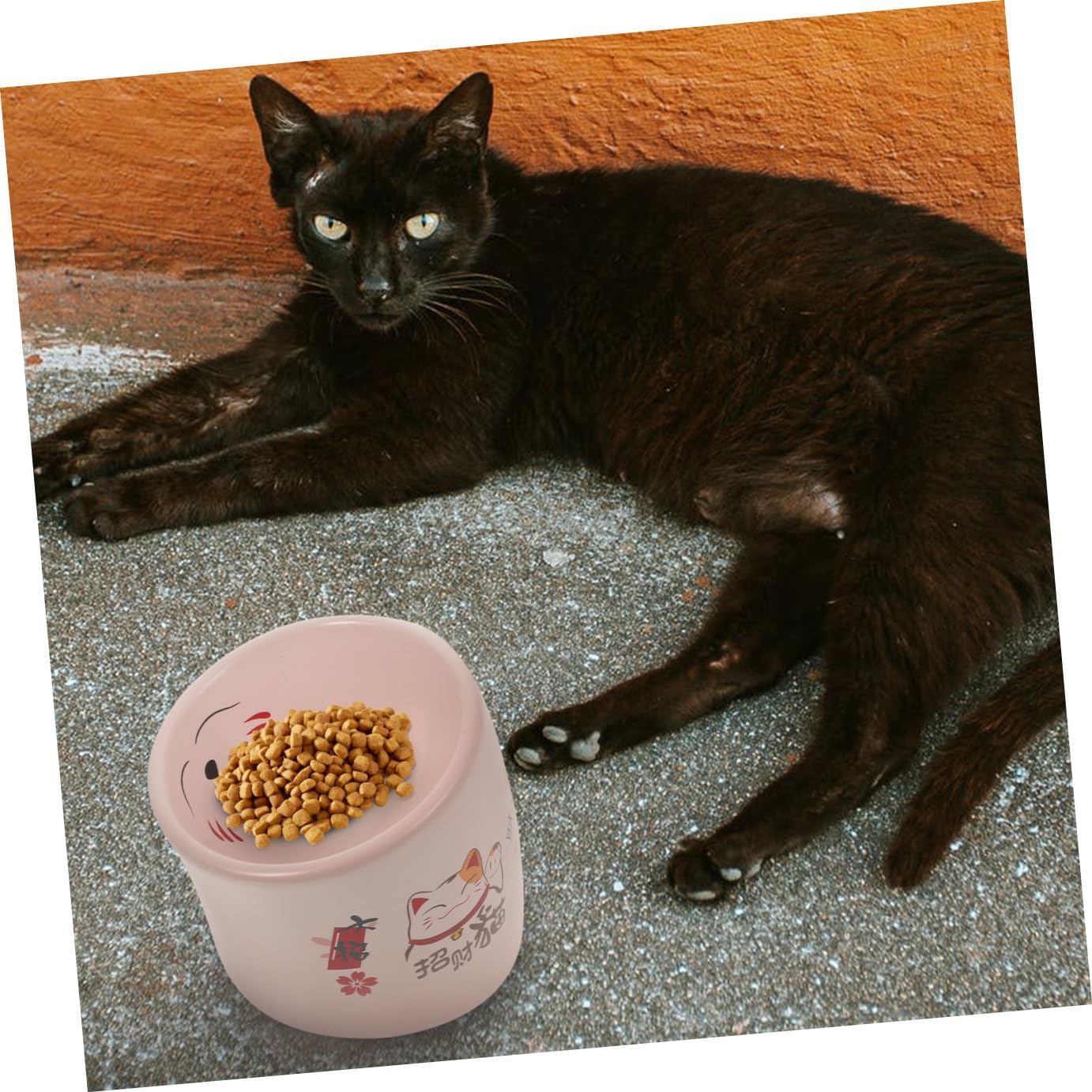Ceramic Anti-Spill Elevated Pink Pet Feeding Dish for Kittens and Puppies Non-Slip Food and Water Feeder