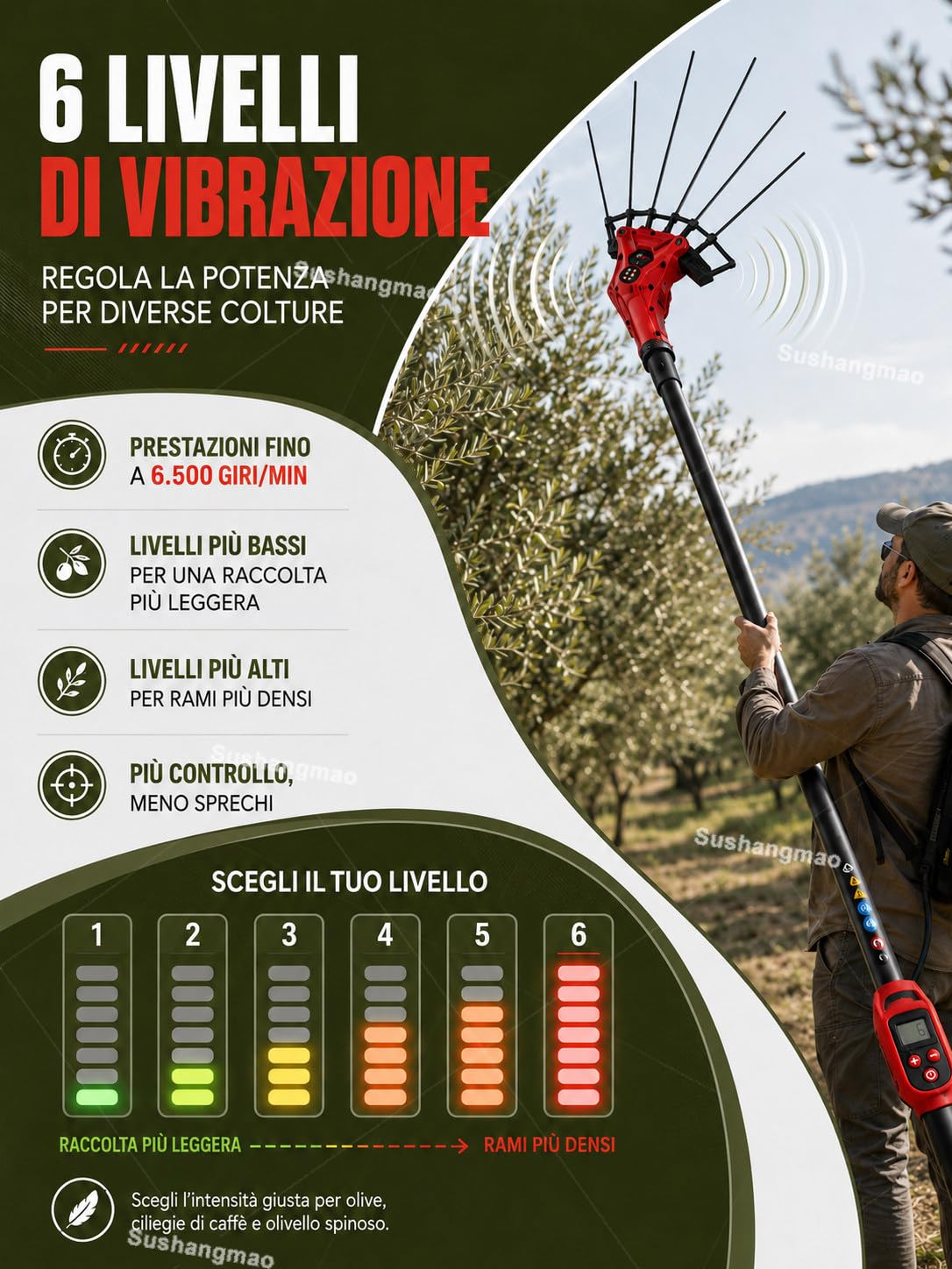 Macchina Raccolta Olive 250W/600W, Asta 2-3 m e Batteria Zaino 600w
