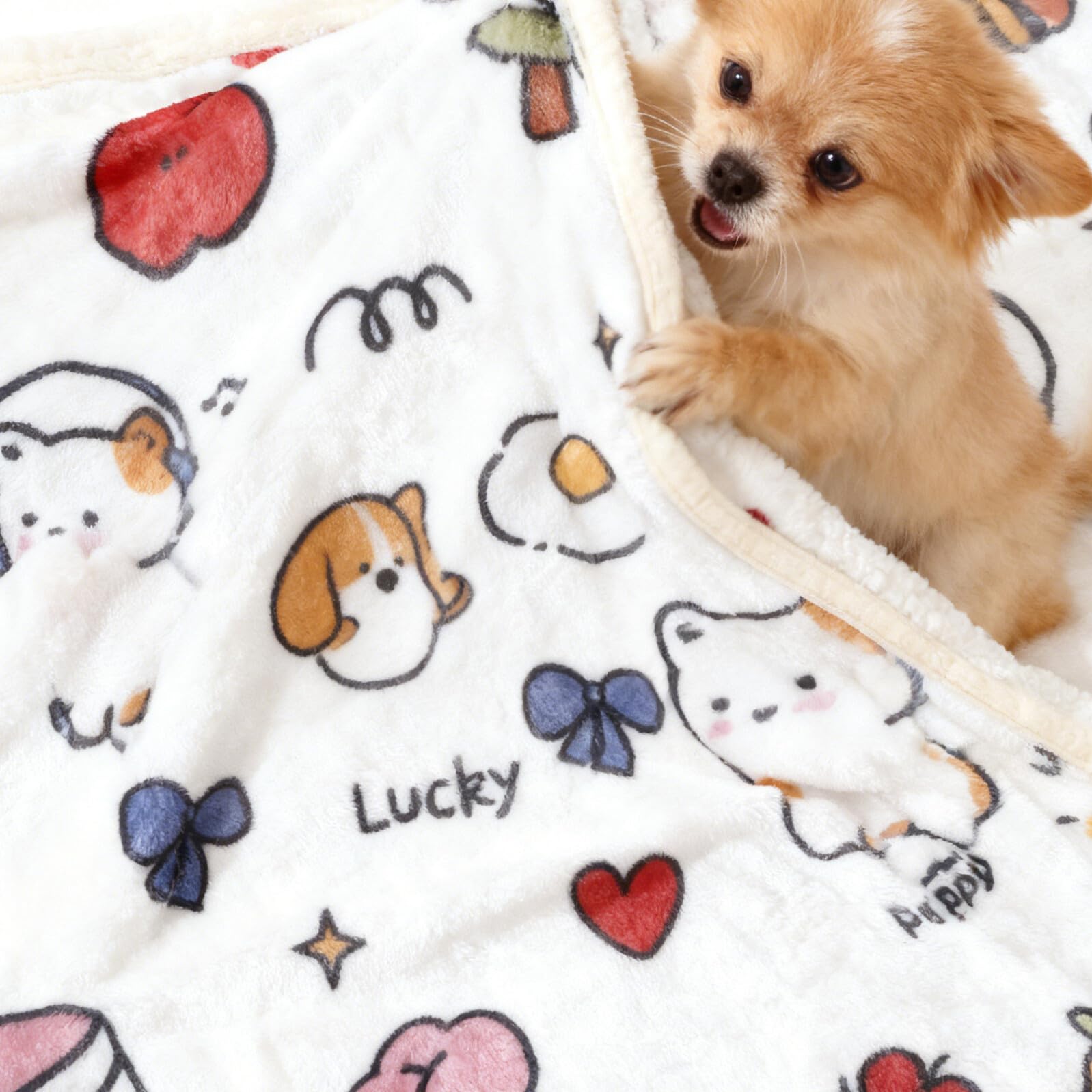 Coperta per Cani e Gatti in Pile Morbido 15X20 M Coperta Lenitiva e Calda per Animali Domestici Lavabile in Lavatrice Adatta per Divano Viaggio e Uso Quotidiano