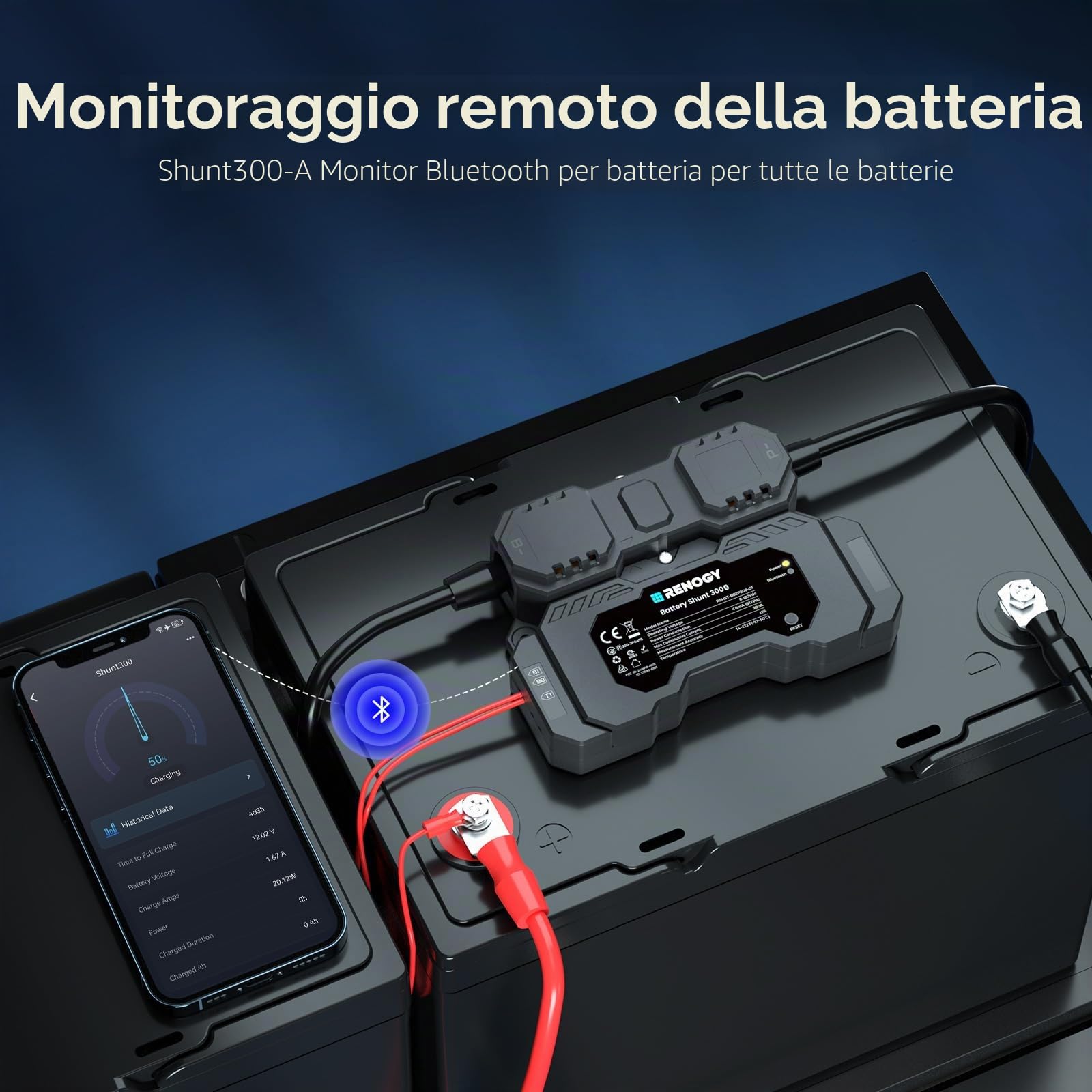 Renogy Battery Shunt 300 con Bluetooth integrato, misura tensione e corrente della batteria, compatibile con piombo acido, LFP, Li-ion e Ni-MH