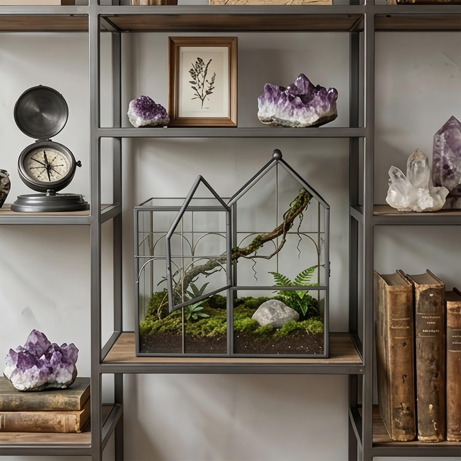 Dekoratives Terrarienhaus für die Wohnraumdekoration, Klarglas Vitrine mit Hausform, zu öffnender Blende und kompakter Glas Terrarium Vitrine mit kleinem Platzbedarf und schwarzem Rahmen mit zu Blende