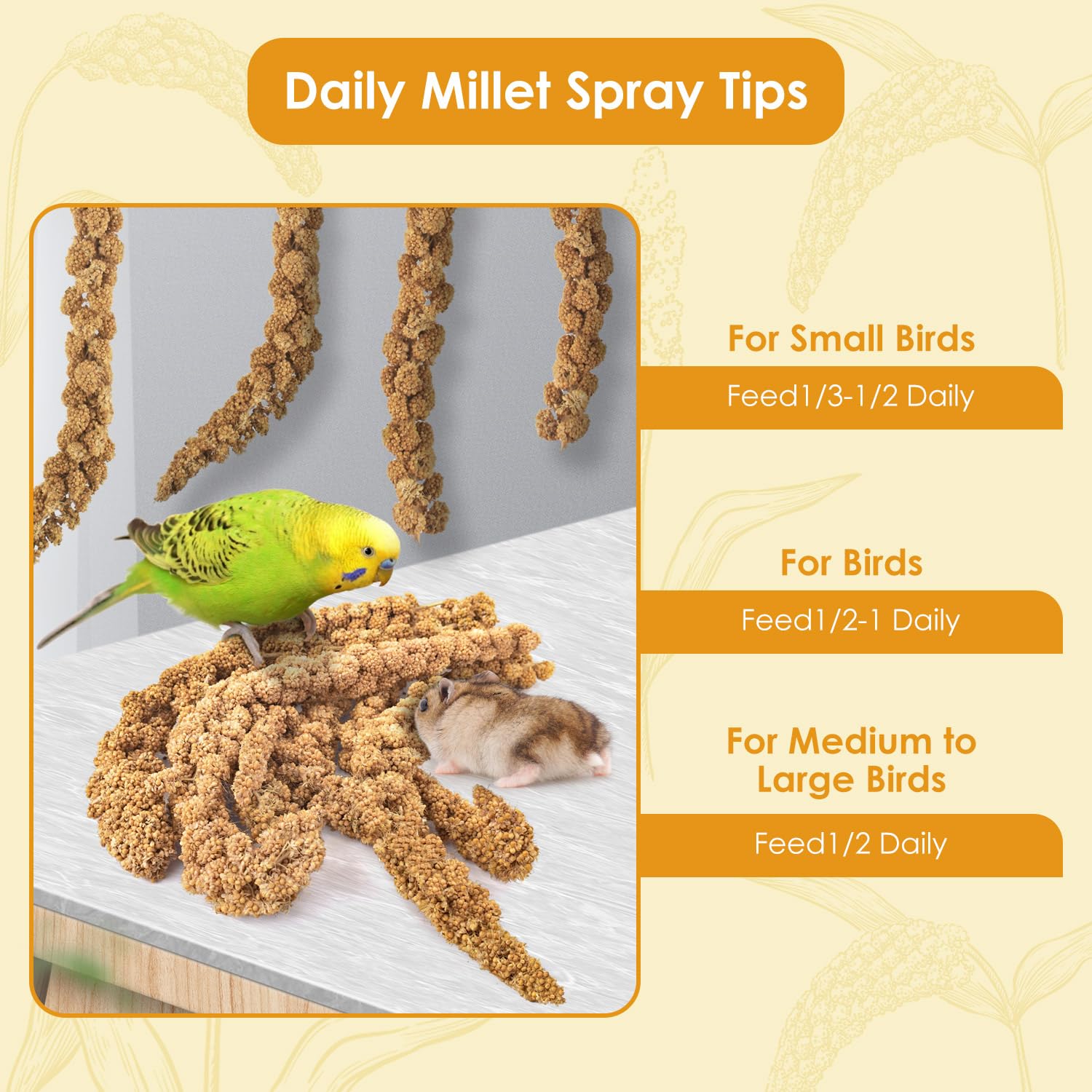 Budgie Treats: A Guide to Keeping Your Feathered Friend Happy and Healthy