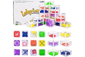 24 Pcs Balance IQ Maze Game Toy Set - Mini 3D Brain...