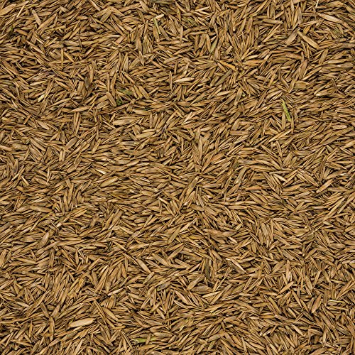 COMPO graszaad, spel en sport, universele grasmix 8 kg Graszaad, spel en sport. 11 x 35 x 64 cm geel - Afbeelding 4