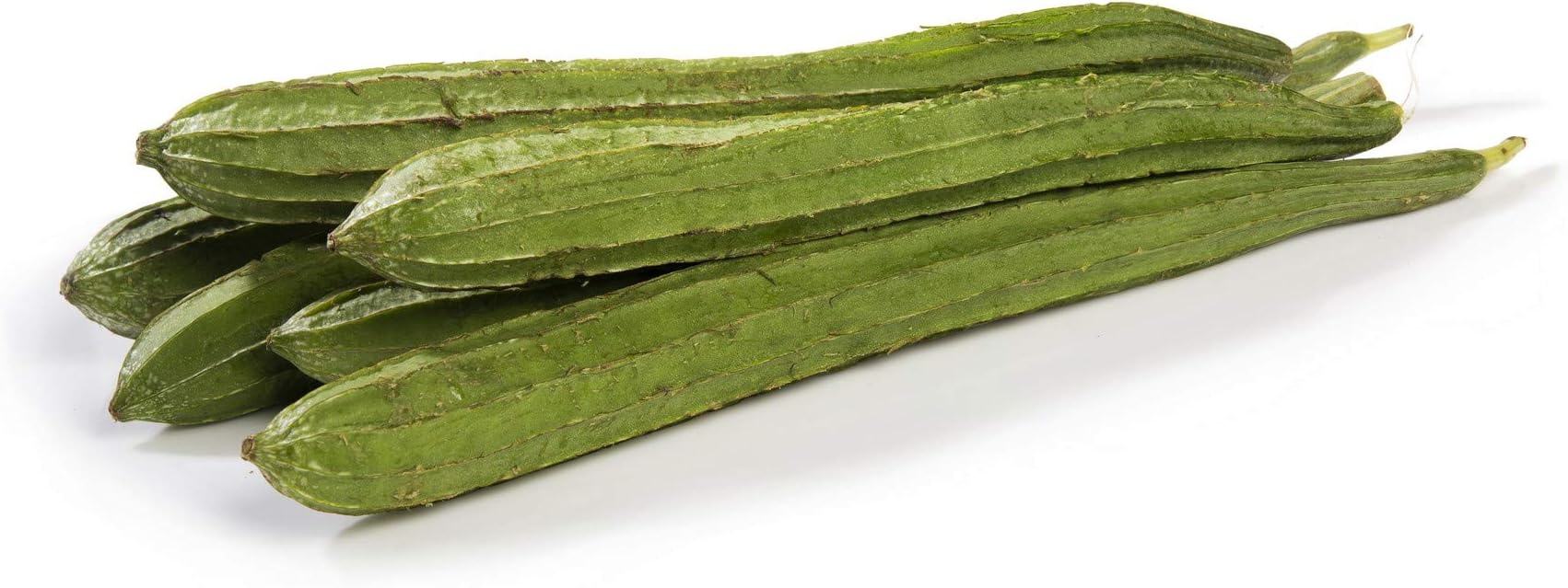 Fresh Ridge Gourd (Turai) 500g