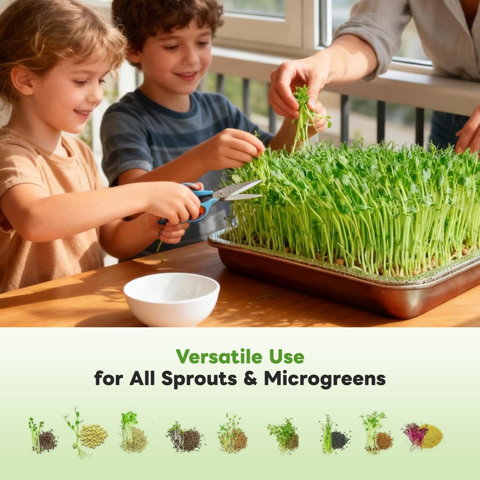 Acero Inoxidable Germinador de Semillas - 26 x 9 cm Bandejas de Germinación Reutilizables - Cultivo Sin Tierra Hierba para Gatos - Semilleros Profesionales para Brotes Hierba para Berro Microgreens