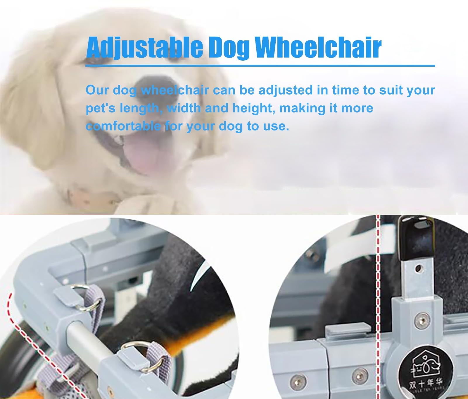 Carrello Cani Disabili Carrozzina per Cani a 2 Ruote per Zampe Posteriori, Ausilio Leggero per la Mobilità Dei Cani per Zampe Posteriori, Carrello di Supporto per L'addestramento Alla Riabilitazione(S