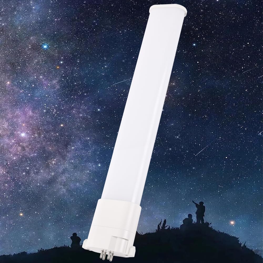 DUAL II 山脇敏次 直筆サイン入り 限定100部 DUAL 1 Toshithugu