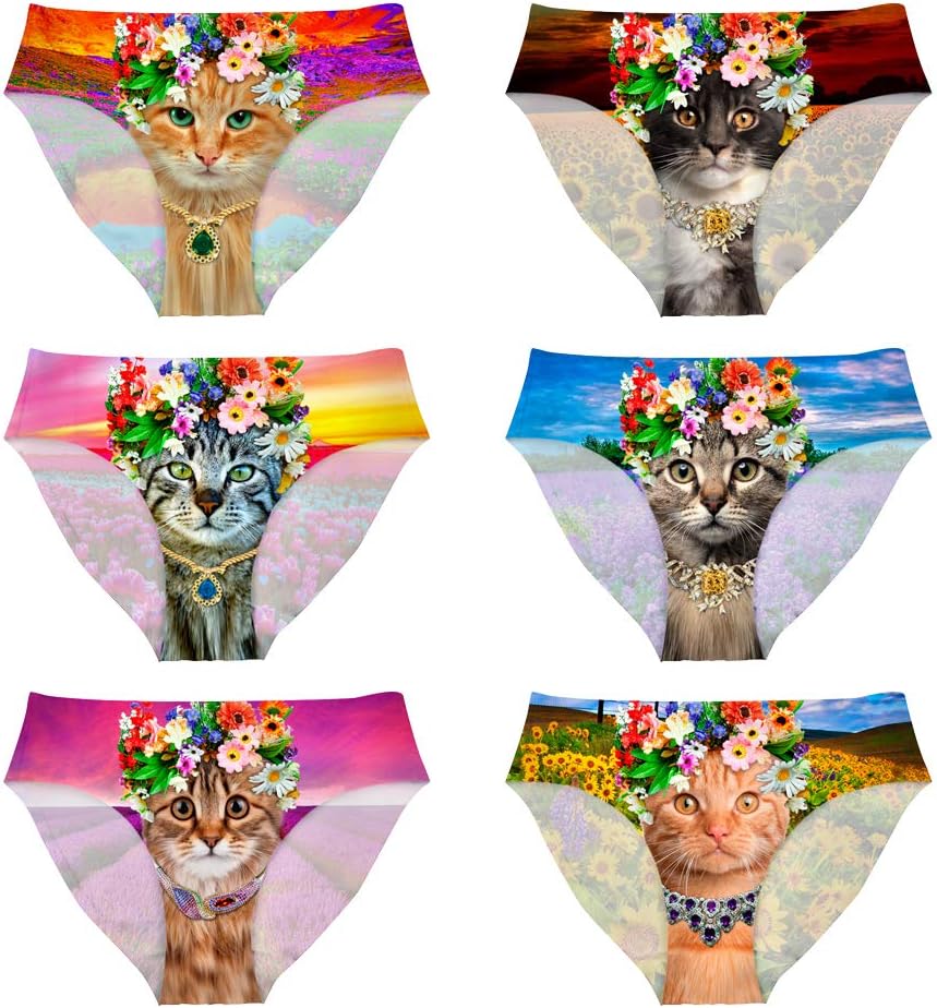 Women Underwear Set 6 Packs Briefs Hipster Pants for Girls Elastic Soft Underpants Mid Cut Seamless Panties Gag Gift for Bachelorette Party