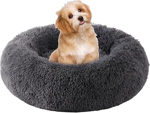Cama redonda pequeña para perros, camas para gatos de interior, cama calmante antiansiedad en forma de dona para cachorros y gatitos, cama redonda