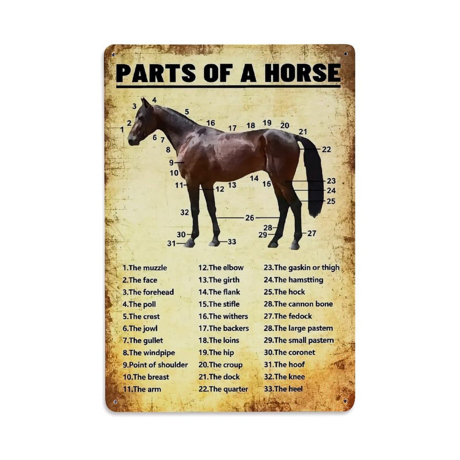 Jdfenggu Vintage Parts Of A Horse Diagram Retro Metal Tin Sign, Metal Poster For Bar, Home, Man Cave, Kitchen, Laundry Room Art Decor 8X12 Inch