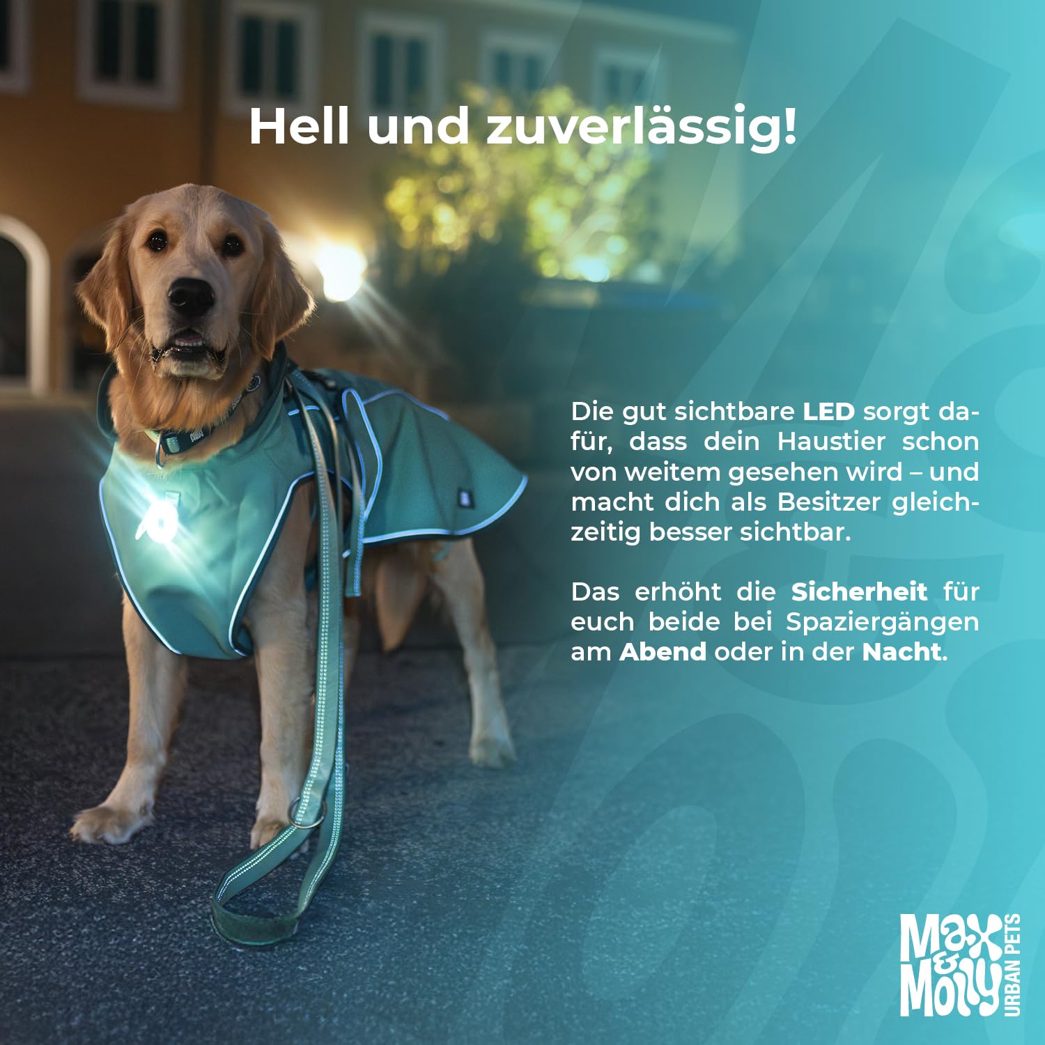 Max & Molly Matrix 2.0 Ultra LED, Hundelicht für Geschirr, Leine & Halsband, Jade, Wasserfest, USB Wiederaufladbar, Hundelampe LED, Hunde Leuchtanhänger für mehr Sicherheit bei Nacht