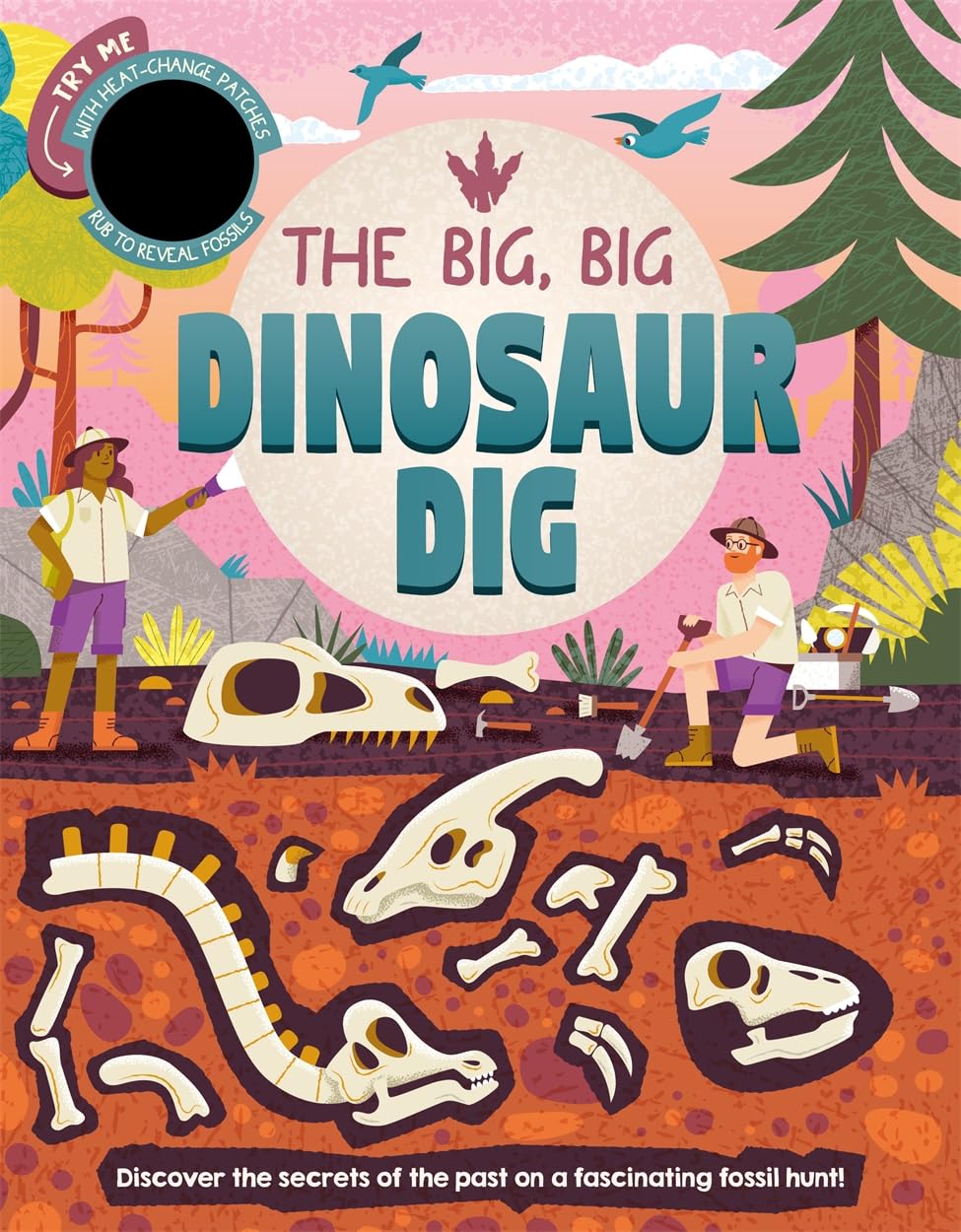 The Big, Big Dinosaur Dig by Autumn Publishing (Board book)