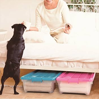 Amazon.co.jp: JEJ カラフル収納ケース for.c EX深50 Ver2.0