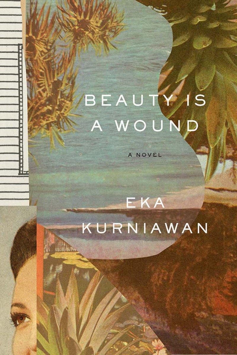 Buy Beauty Is a Wound — BookShops.in