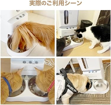 Automatic Feeder for Cats and Dogs, 2 Types, Voice Recording, 1.6 gal 5 L Large Capacity, 10 Meals per Day, Multiple Pet Use, Smartphone Operation, Pet Automatic Feeder, Timer Type, Wi-Fi