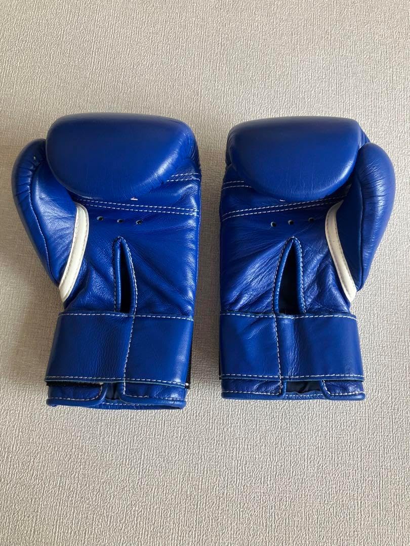 winning ウィニングボクシンググローブ ブルー 8オンス MS-200B