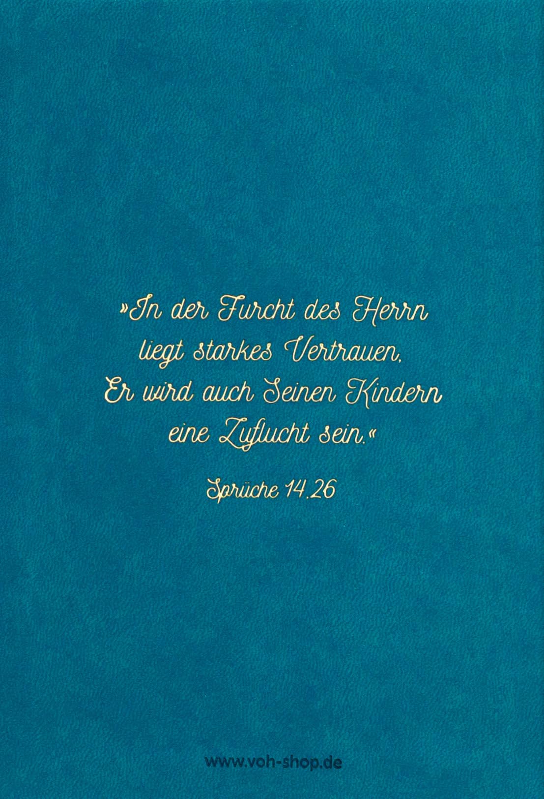 Biblische Erziehung (Familien-VOH-Serie)