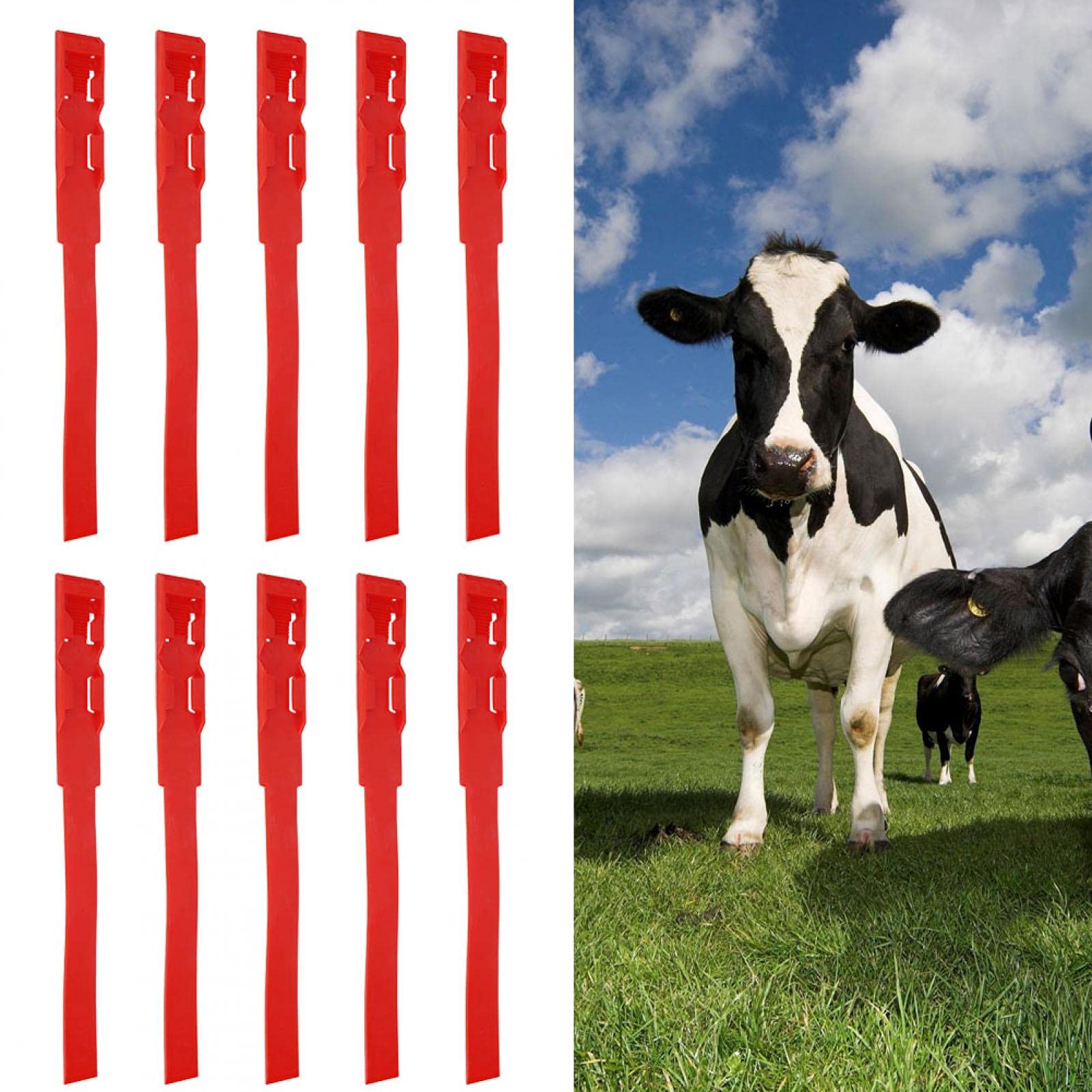 Kuh Markierungsband Rinder Identifikationsring Kunststoff Tierkennzeichnung rotes Halsband Milchkühe Fußbänder Fesselbänder für Kühe Colliers Identifikationsband für Milchvieh