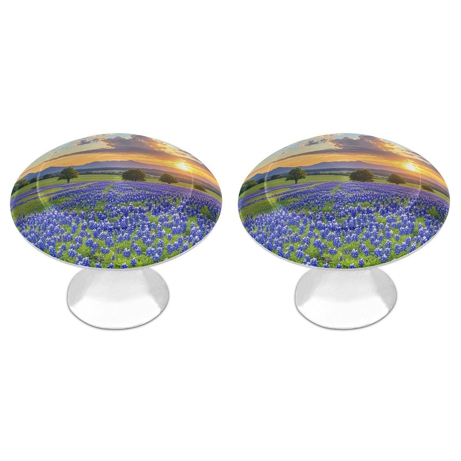FekiLoot Texas Bluebonnets Scenery Cabinet Knobs 2 Pack Stainless Steel Round Dresser Drawer Knobs Kitchen Drawer Hardware Dresser Knob Closet Door Pulls Cabinet Handles for Cupboard Drawer Pulls