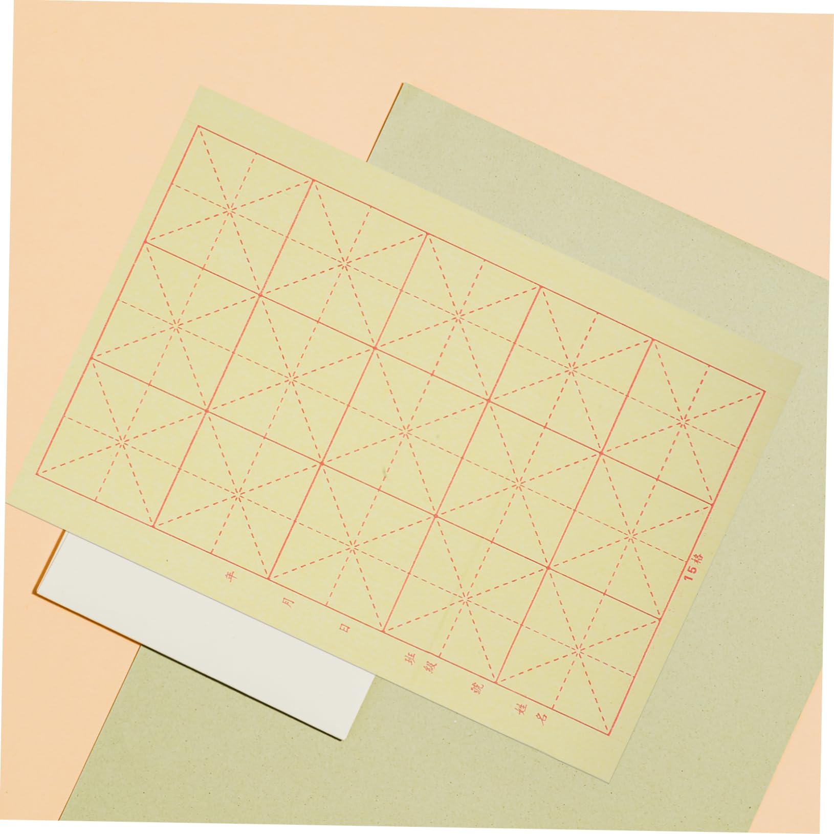 SHINEOFI Papel de Caligrafía para Principiantes con Rejilla de Arroz para Práctica de Pincel, 20 Juegos de Hojas para Caligrafía y Escritura Artística
