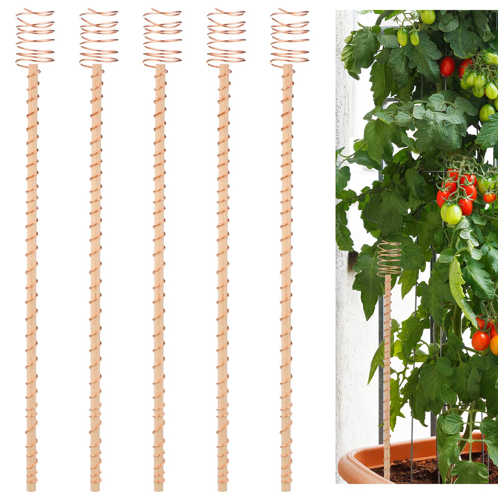 Blulu 5 Pack Electroculture Plant Stakes Gardening Copper Coil Antennas Stakes Electroculture Copper Wood Wrapped with Solid Copper Wire for Growing Garden Plants and Vegetables (Height 15 Inch)