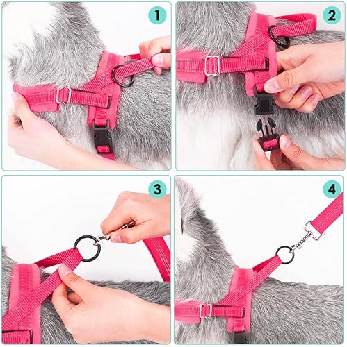 Miniatura 5 de Lukovee Juego de arnés y correa para perro, arnés acolchado suave para perros pequeños, chaleco reflectante ajustable para cuello y pecho, arnés
