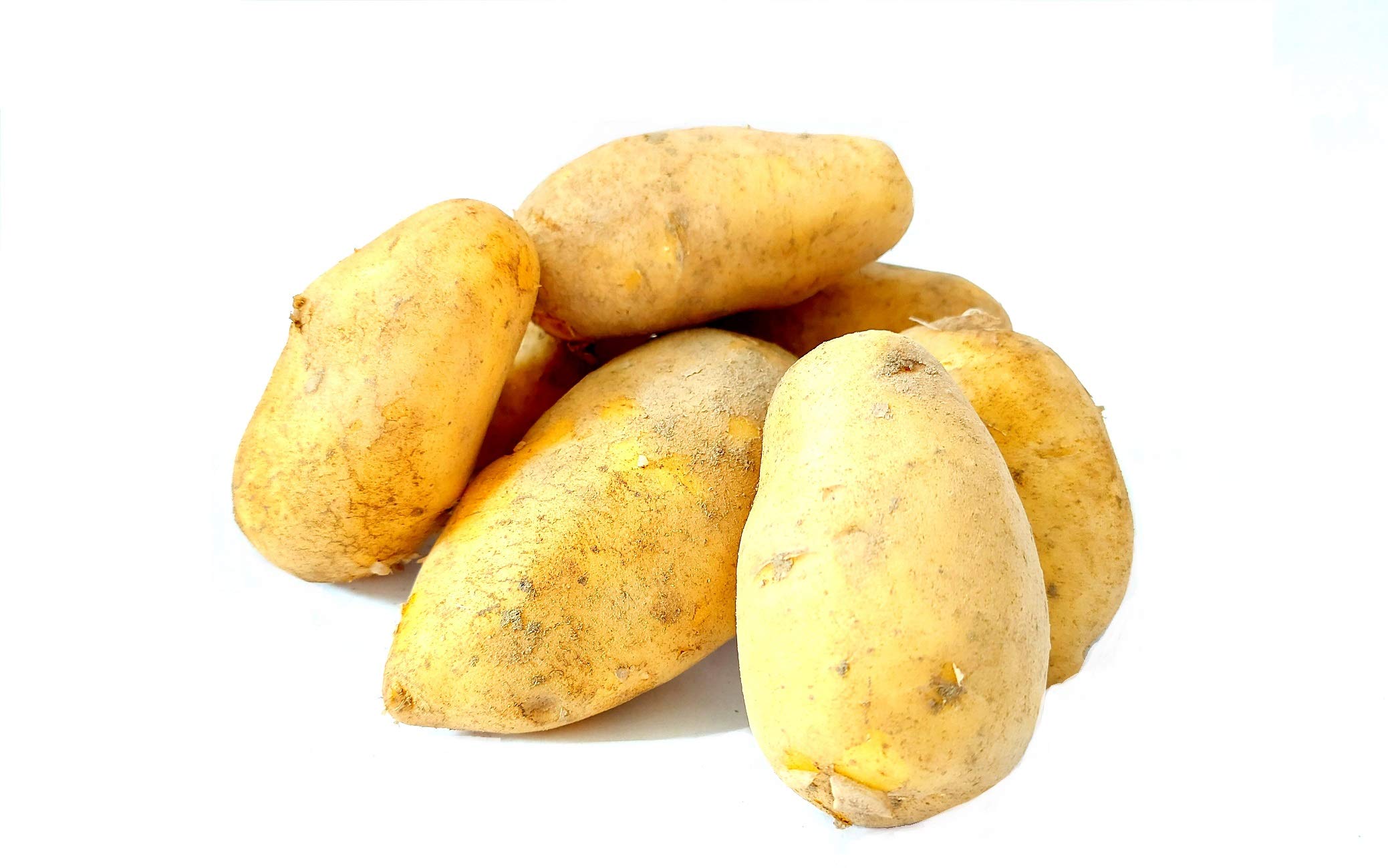 Frische Sieglinde festkochende Speisekartoffeln Kartoffel 10 KG Ernte 2025 aus Bayern festkochend Salatkartoffel zum Grillen für Kartoffelsalat Pellkartoffeln Bratkartoffeln Pommes Frites