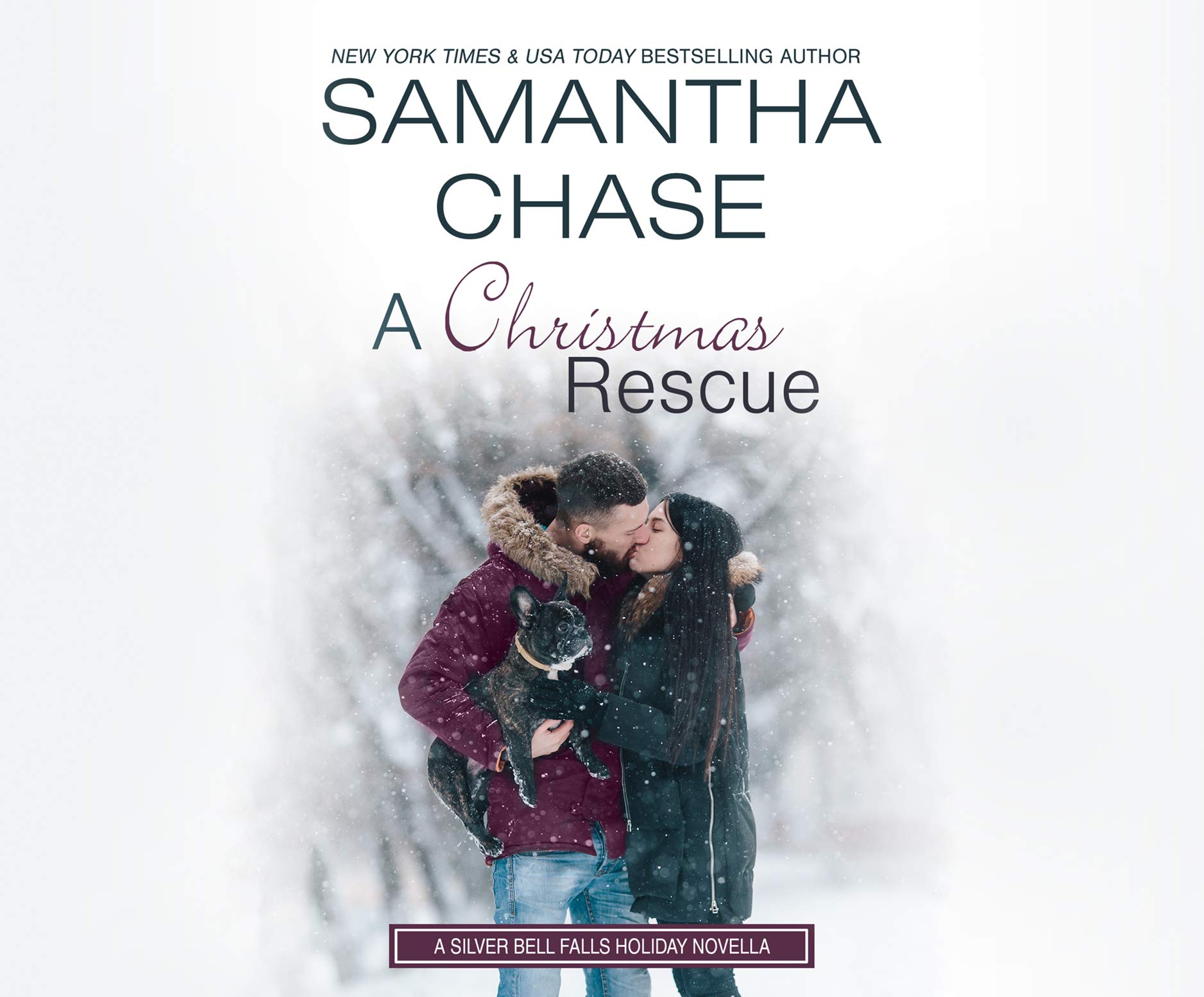 Buy A Christmas Rescue (Silver Bell Falls, 4) — BookShops.in