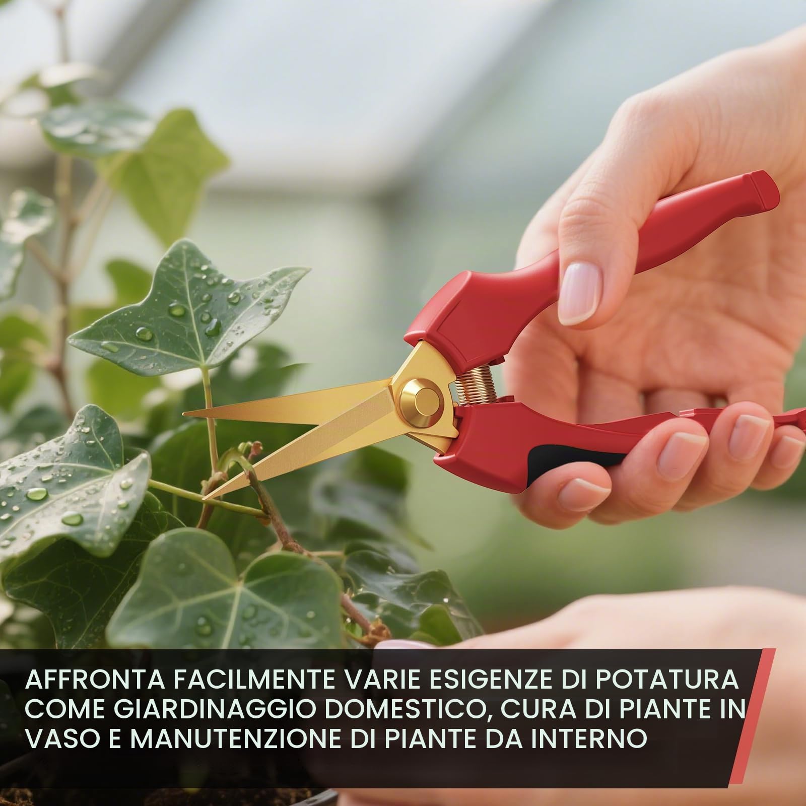 FLORA GUARD Confezione da 2 forbici da giardino piccole con lame curve rivestite in titanio, forbici per la raccolta di bonsai per fiori, frutta e verdura