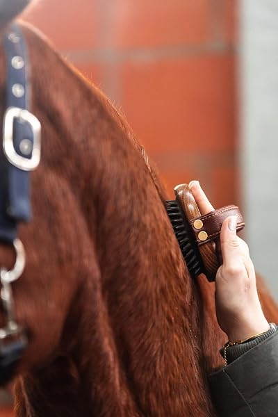 Equimour Gummi Striegel Pferd & Hund – Holz Fellstriegel mit flexiblen Gummiborsten & Leder Handschlaufe – Fellpflege, Massage & Schmutzentfernung – Striegel für Kurzhaar Pferde & Hunde - 3