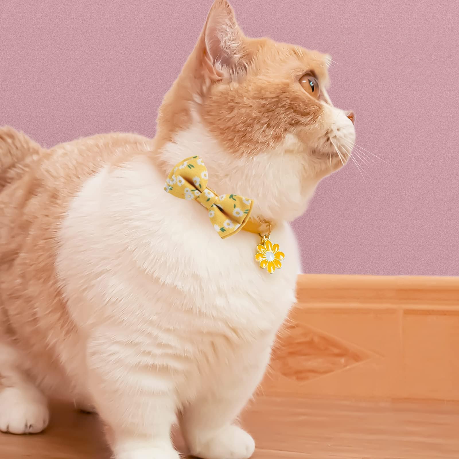 Petiry Charming Cat Collar with Detachable Bowtie, Yellow Floral Kitten Collar with Gold Bell and Daisy Charm,Pack of 1,Daisy Yellow - Image 3