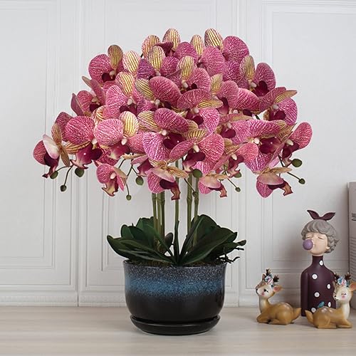 Miniatura 104 de FagusHome Phalaenopsis - Flores artificiales de 32 pulgadas, 6 piezas de orquídeas artificiales con tallo para decoración del hogar (rosa)