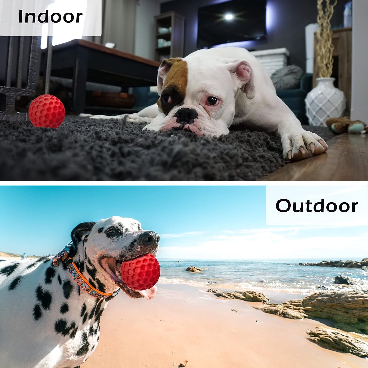 soysen Dog Squeaky Toys Dog Chew Toys for Aggressive Chewers Indestructible Pet Toy for Training and Cleaning Teeth Non-Toxic Natural Rubber - Image 4