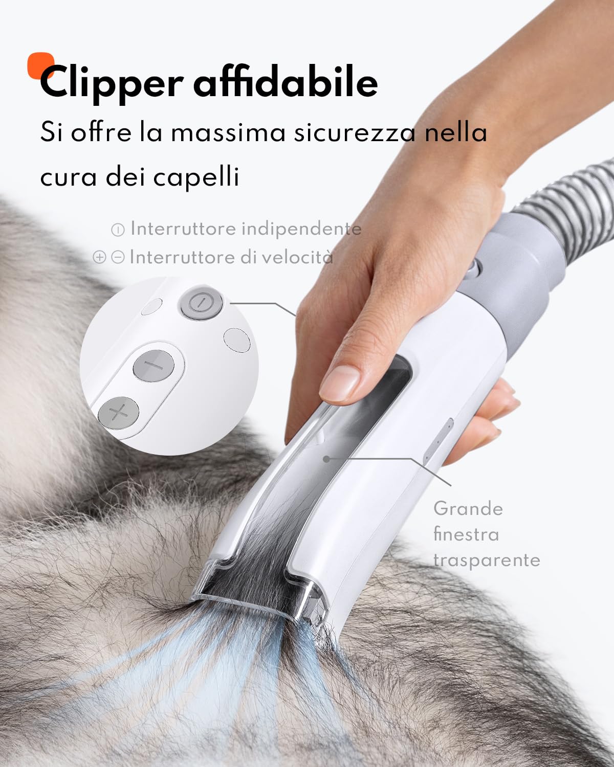 Homerunpet Toelettatura e Aspirazione a Vuoto per Animali Domestici, 12000 Pa Ultra Silenziosa Tosatrice per Cani e Gatto Professionale, Aspira Peli per Cani con 6 Strumenti, 1,85L