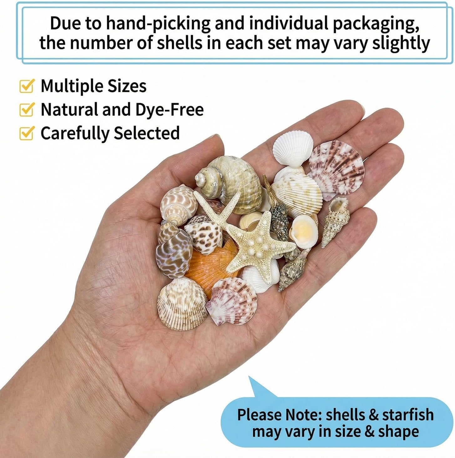 Plastic Sea Shells for Crafts, Assorted Mixed Shells & Starfish (12+ Types: Bread Starfish, Conch, Scallop etc.), DIY Supplies for Home Decor, Fish Tanks, Vase Fillers & Beach Art