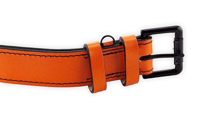 Foto 8 de 8 de Brute Strength - Collar de Cuero para Perro - Naranja - L · 46–53 x 3,5 cm