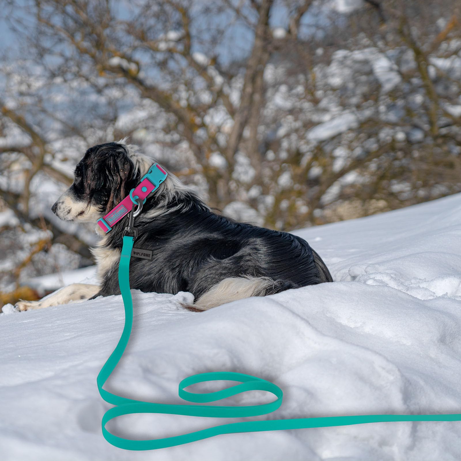 Wolfone Viridian Green 12m Long Line Lead Waterproof Recall Training Dog Lead, 12m*19mm*2mm - Image 4