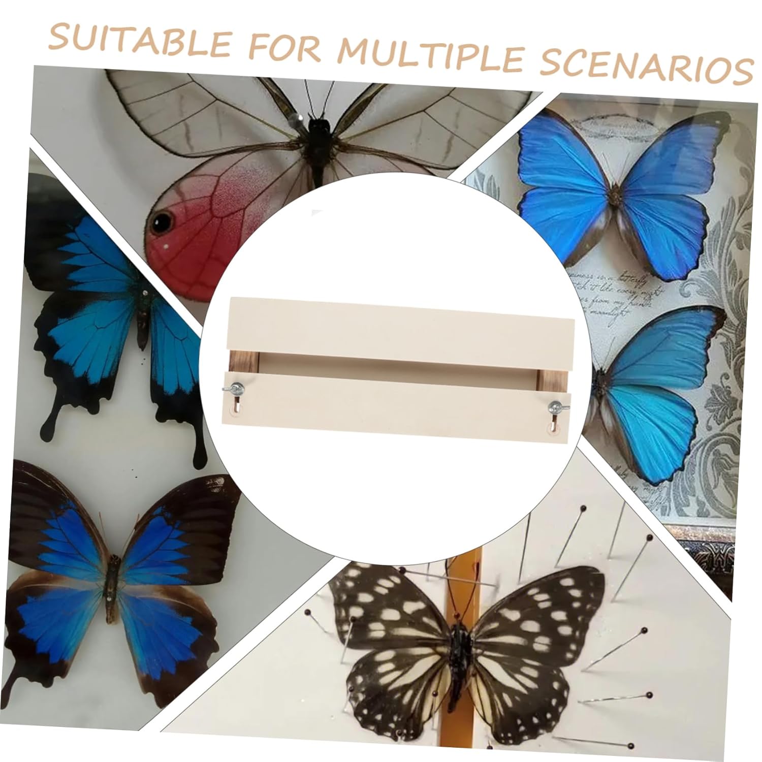 Luxshiny Butterfly Specimen Pinning Board Insects Display Board Spreading Plate for Showing Butterfly Wings Educational Use