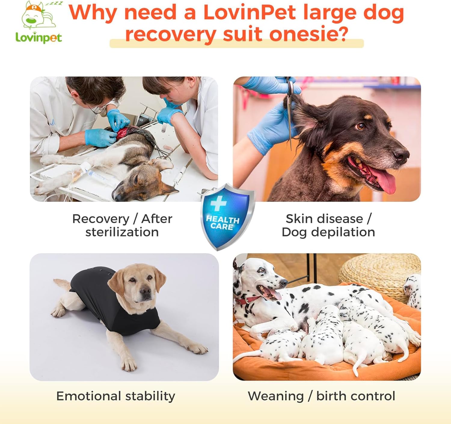 LovinPet Post-Spay Recovery Bodysuit for Female Dogs, Solid-Color Surgery Suit with Cushioned Belly Panel, Easy Snap-Back Cover for Large Dogs, Black, XXL