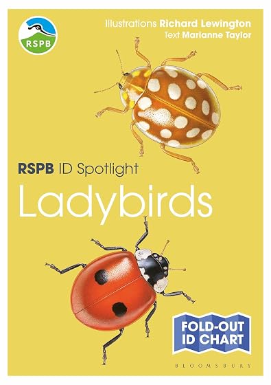 Rspb Id Spotlight - Ladybirds