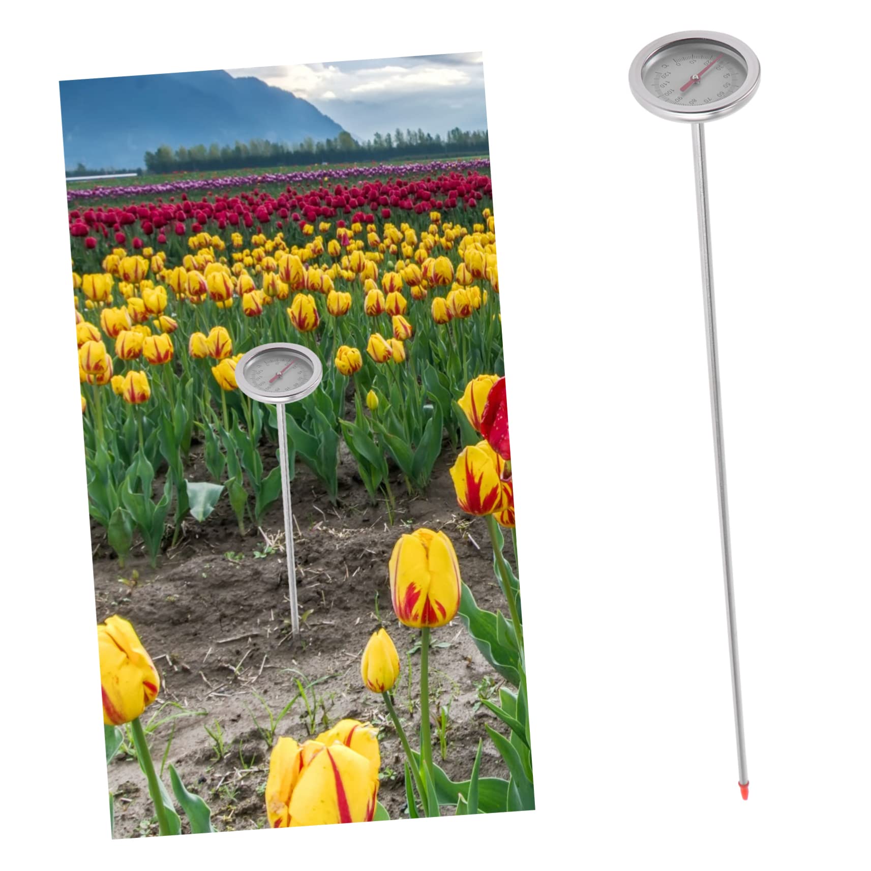 POPETPOP 2 Pièces Thermomètre à Compost Thermomètre à Broche Détecteur à Induction De Température du Sol Accessoires Acier Inoxydable