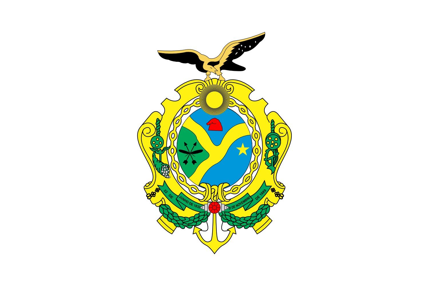 Drapeau Amazonas grand format blason des gouverneurs brésiliens