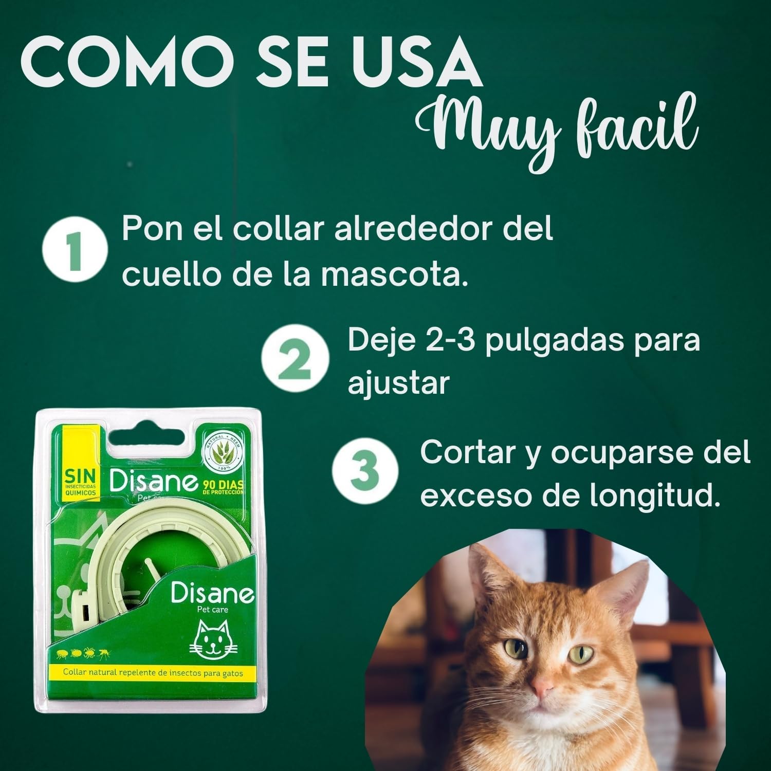 DISANE Collar Antiparasitario para Gatos 100% Natural | 3 Meses de Protección Contra Insectos y Parásitos: Repelente de Pulgas, Garrapatas y Mosquitos | Collar Antipulgas Gato Adulto y Cachorro