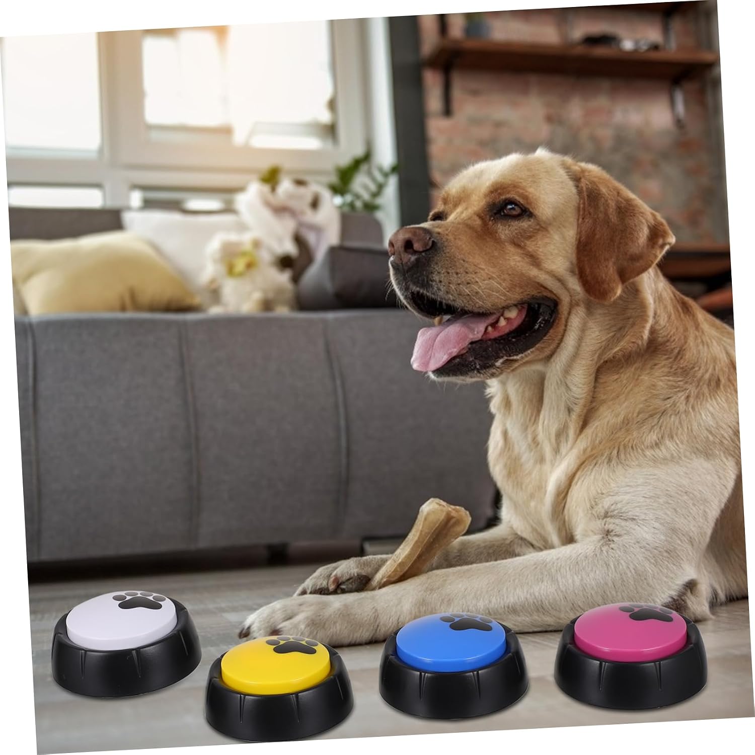Sosoport 4pcs Recordable Dog Training Communication Buttons Pet Interaction Toys Recording for Dogs Cats for Training and Engagement