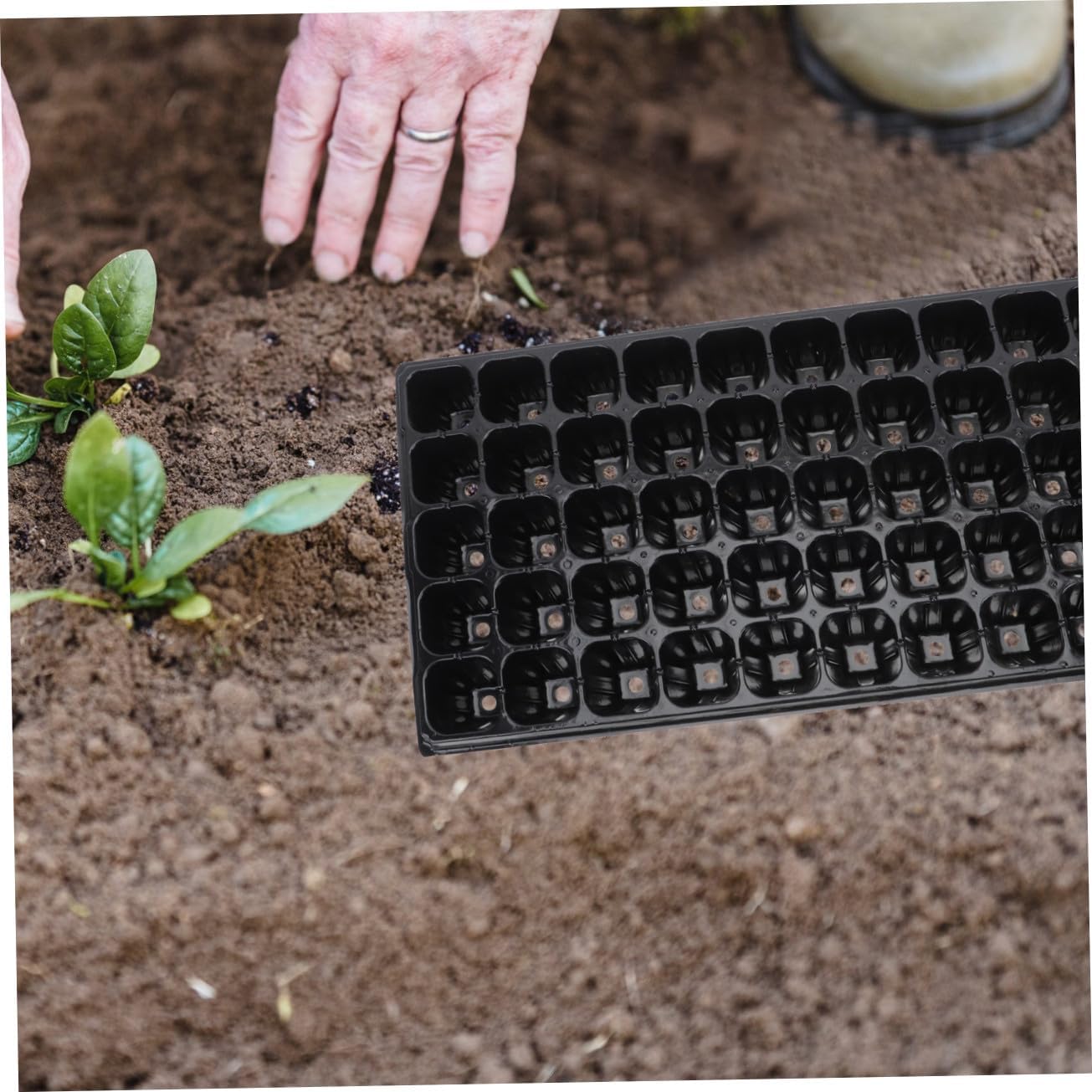 VANZACK 10pcs Thickened Vegetable Seed Starter Trays 50-Cell Germination Plates Garden Nursery Pots for Seedling Growth and Plant Germination